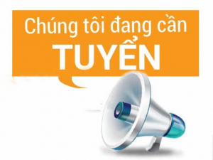Long phát crm tuyển dụng thực tập lập trình viên php