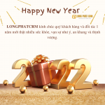 Lịch nghỉ tết dương lịch 2022 LONG PHÁT